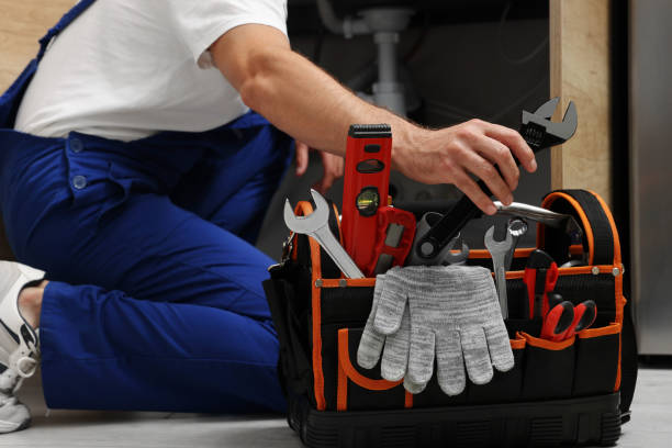 Best Local Plumber Services  in Burr Ridge, IL