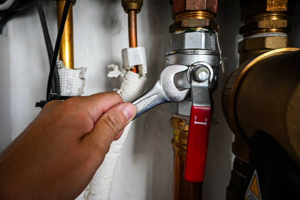 Best Sewer Line Repair  in Burr Ridge, IL